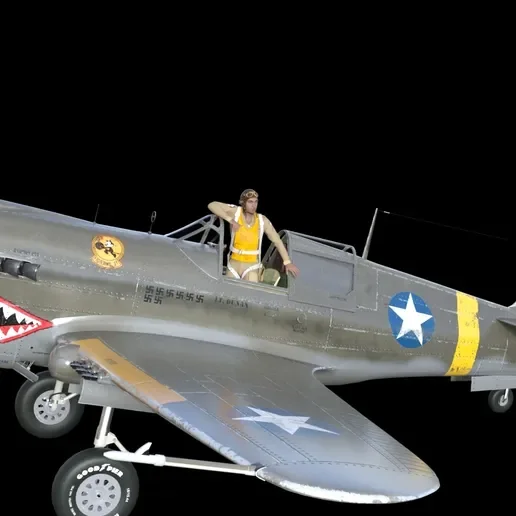 Vista 2 de U.S Pilots WWII