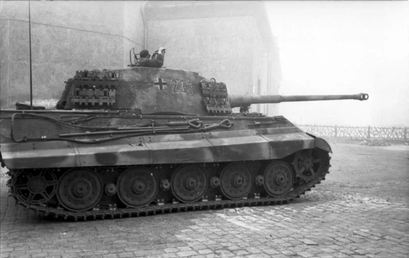 Vista 12 de King Tiger